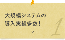 ⼤規模システムの導⼊実績多数！